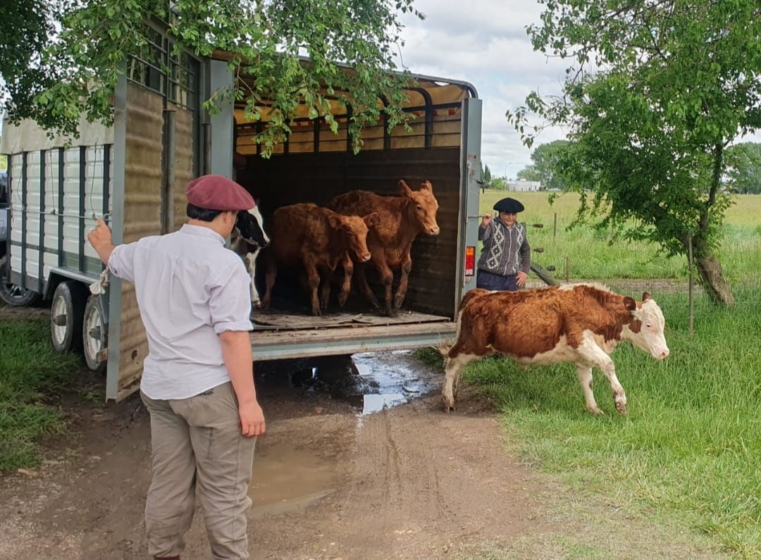 El Municipio donó animales recuperados a la Escuela Agraria.