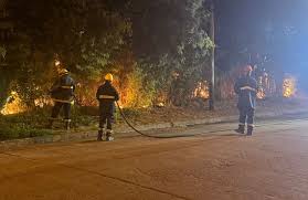 Importante incendio de pastos y árboles en una quinta