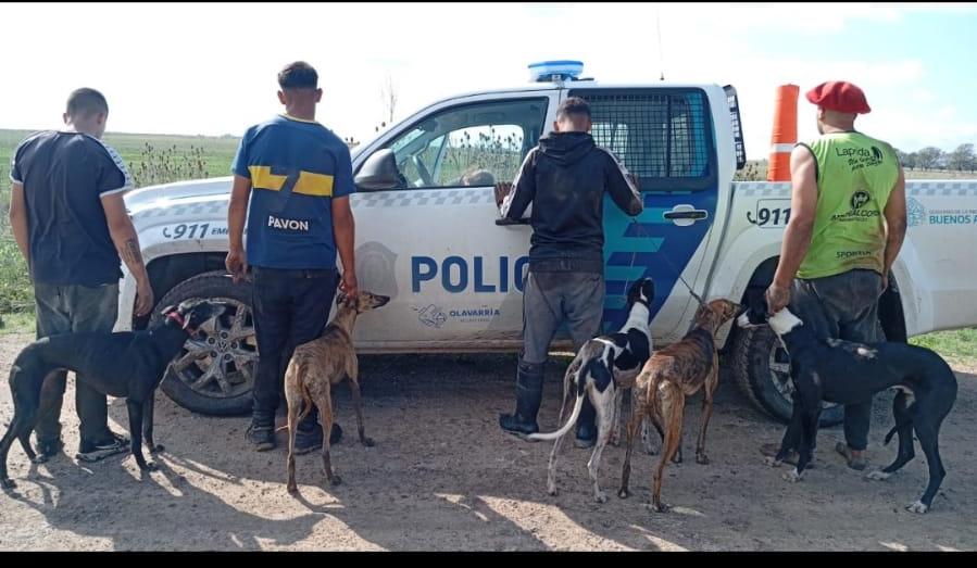 aprehensión  por el delito de caza furtiva.