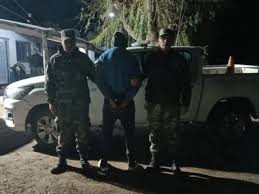 Encontró una vaca muerta y dijo haberla hallado tirada.