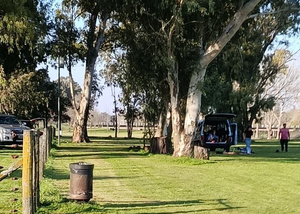 🏛️ PEDIDO DE INFORMES POR EL ESTACIONAMIENTO DE VEHÍCULOS EN EL PARQUE CERRITO