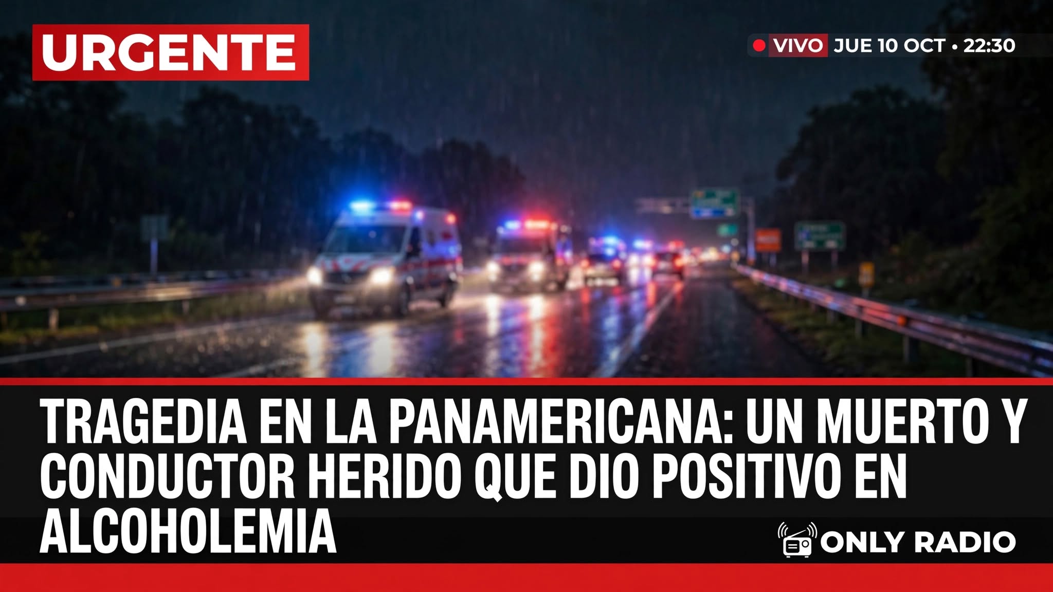 TRAGEDIA EN LA PANAMERICANA: UN MUERTO Y UN CONDUCTOR HERIDO QUE DIO POSITIVO EN ALCOHOLEMIA.